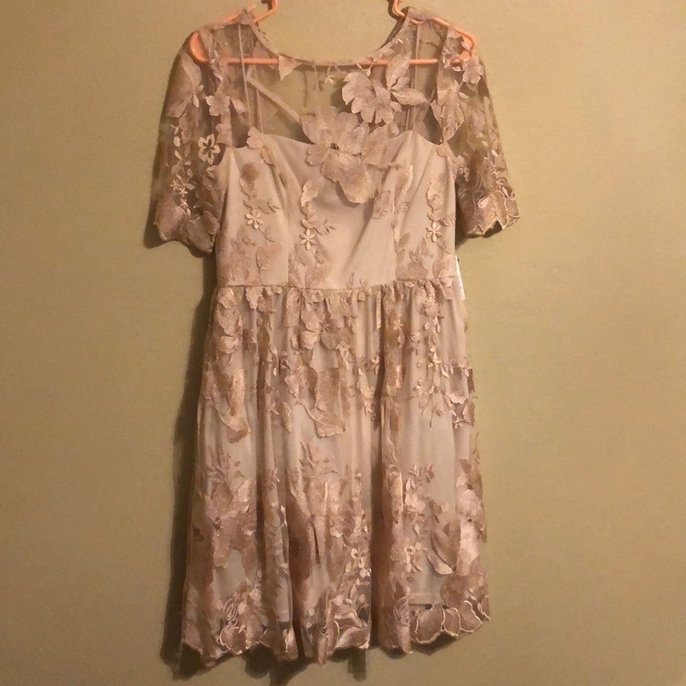 Blush  gold dress